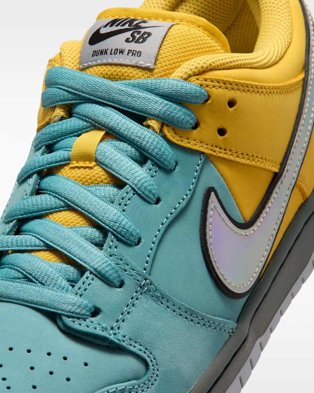 Nike SB Dunk Low Pro